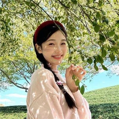 桐籽花开