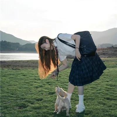 黑艳凤